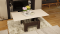 Стол журнальный Тип 10 трансформер - Мебель | Мебельный | Интернет магазин мебели | Екатеринбург